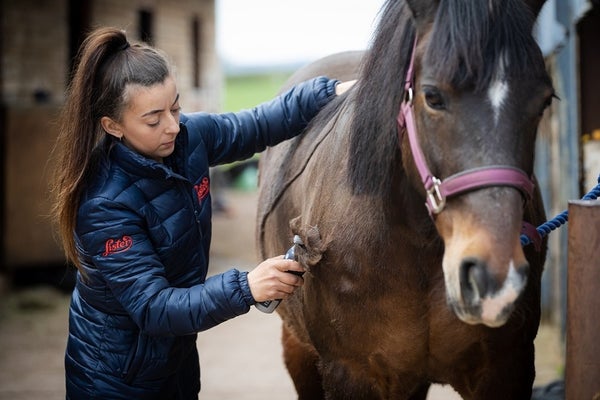 H&auml;stens klippning